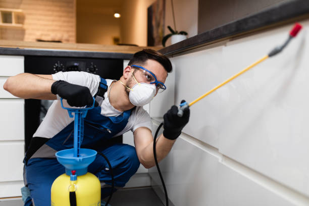 Professional Pest Control in Sudan, TX