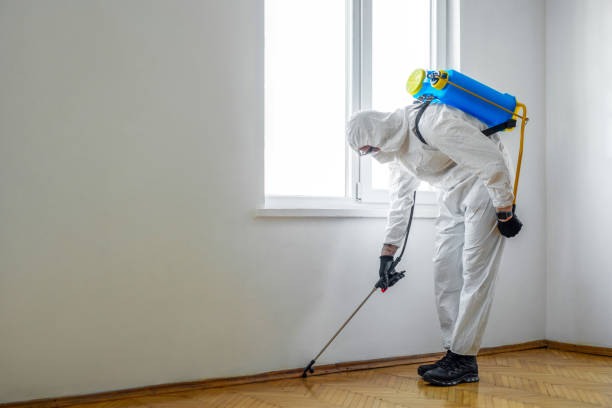 Pest Control for Restaurants in Sudan, TX