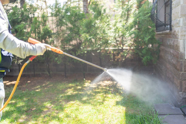 Best Pest Control for Restaurants  in Sudan, TX