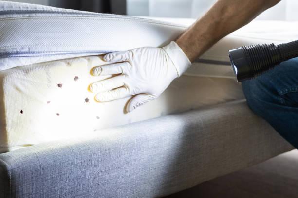 Best Exterminator Services  in Sudan, TX
