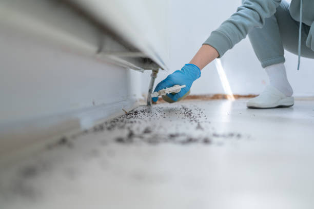 Best Best Pest Control Companies  in Sudan, TX